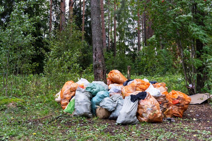 С 11 сентября по 20 октября 2023 г. в Брестской области проходит  экологическое мероприятие по уборке мусора «С заботой о природе».
