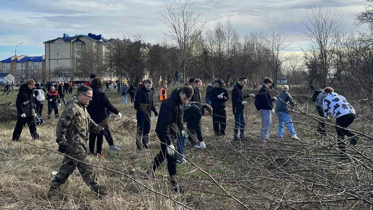 В Бресте активно проходят экологические акции по наведению порядка »  Брестский областной комитет природных ресурсов и охраны окружающей среды