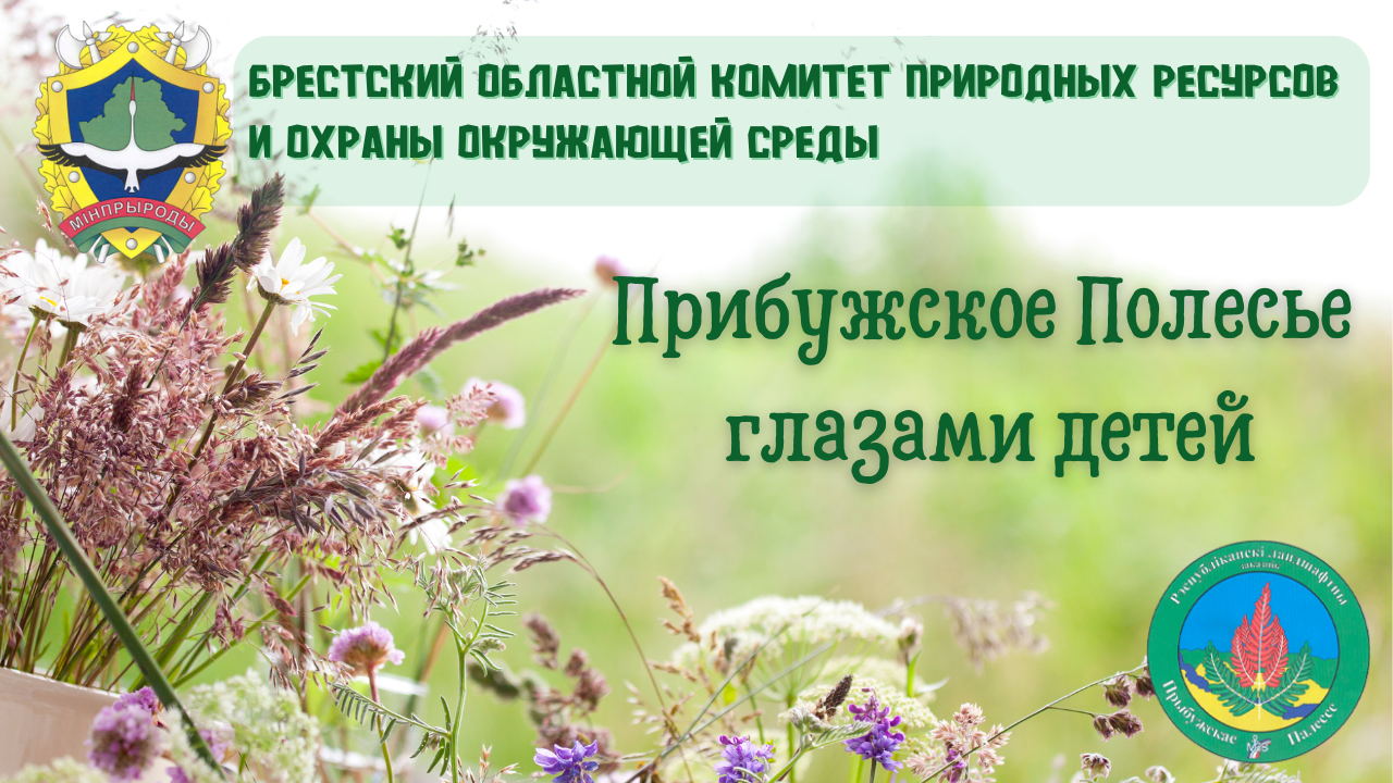 Торжественные мероприятия, посвященные Всемирному дню охраны окружающей  среды » Брестский областной комитет природных ресурсов и охраны окружающей  среды