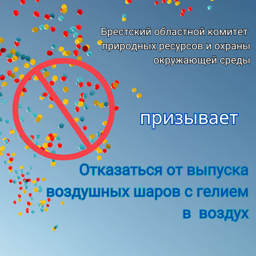 Структура Брестского областного комитета природных ресурсов и охраны  окружающей среды » Брестский областной комитет природных ресурсов и охраны  окружающей среды