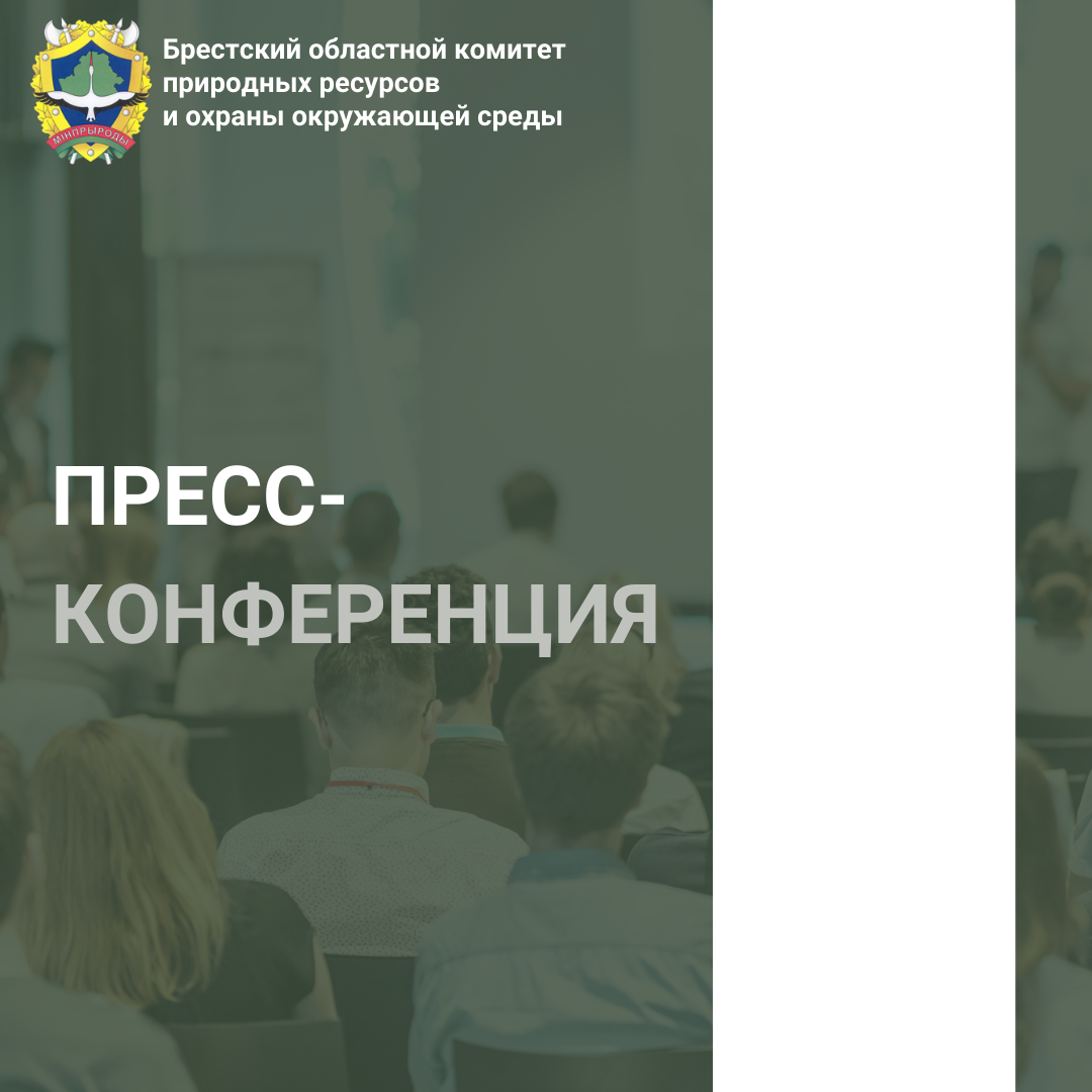 Пресс-конференция «О принимаемых мерах по созданию и содержанию зелёных насаждений»