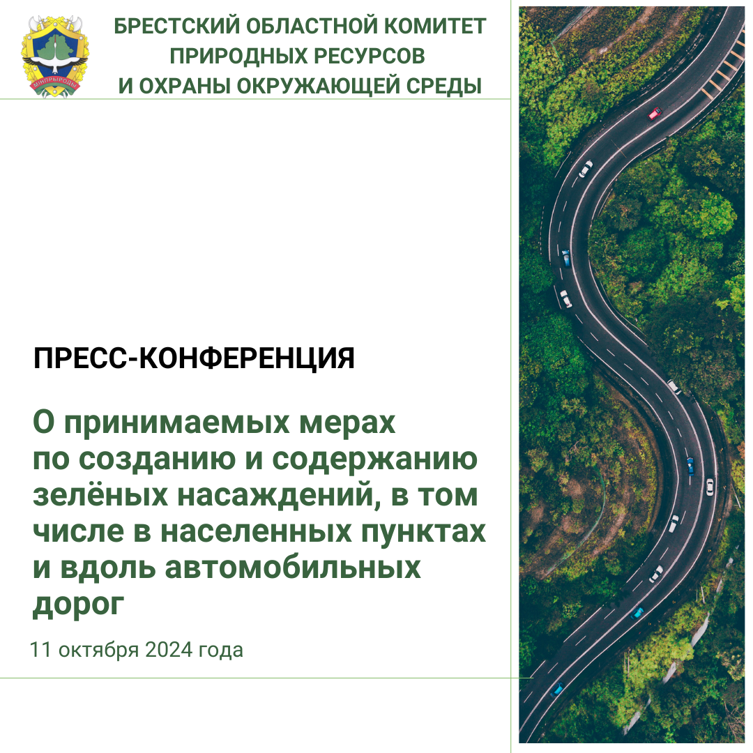 Пресс-конференция по созданию и содержанию зелёных насаждений