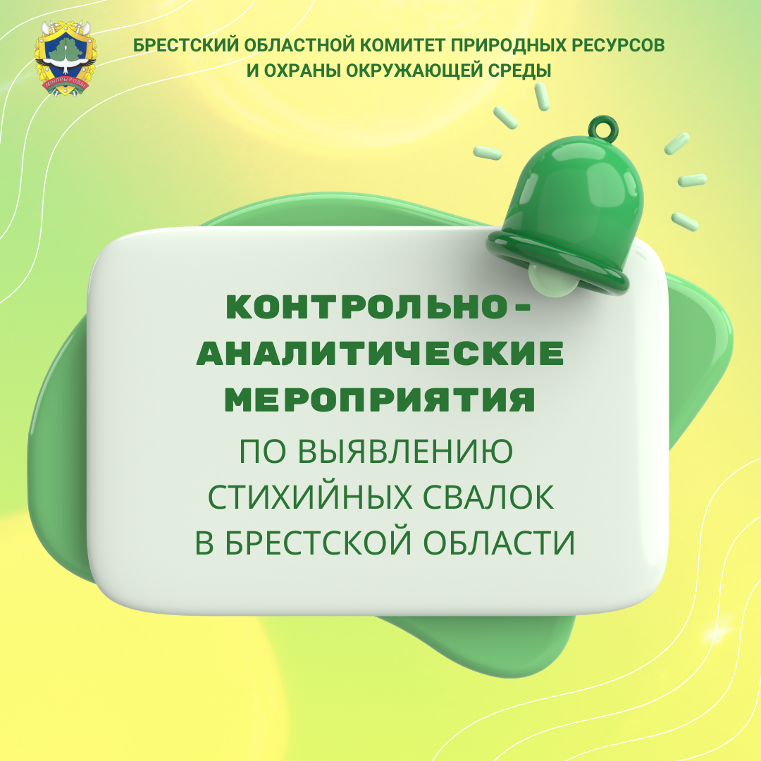 Контрольно-аналитические мероприятия по выявлению стихийных свалок в Брестской области