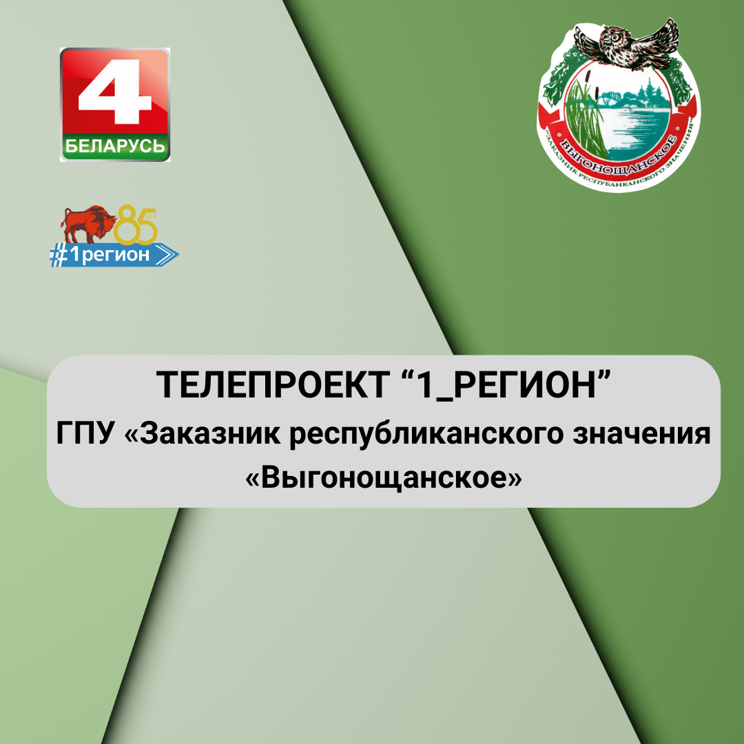 ГПУ «Заказник республиканского значения «Выгонощанское» (ВИДЕО)