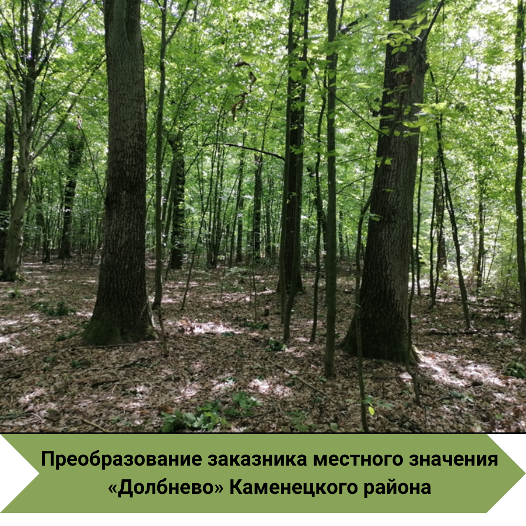 В Каменецком районе преобразован заказник местного значения «Долбнево»