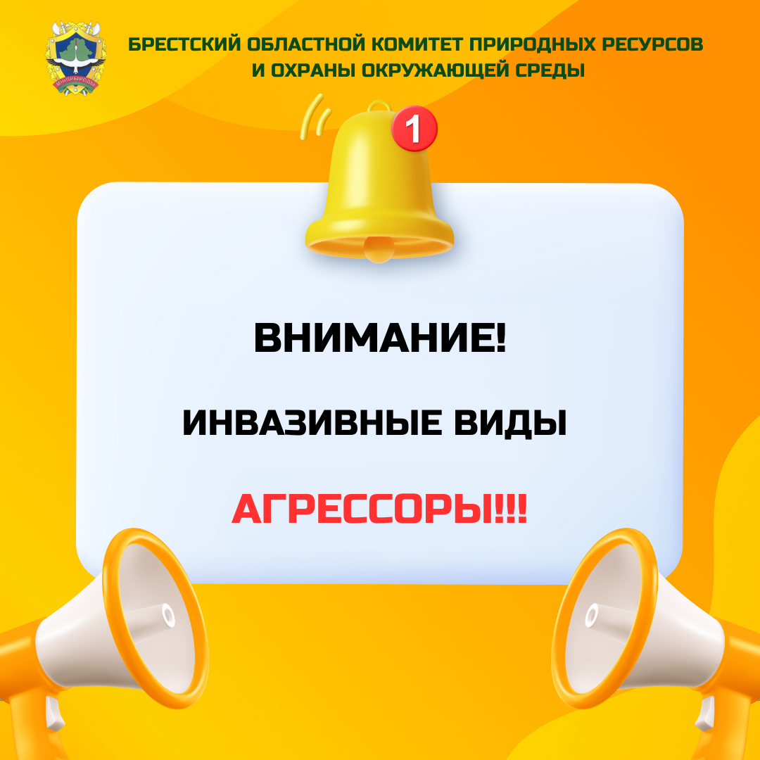 Внимание! Инвазивные виды!