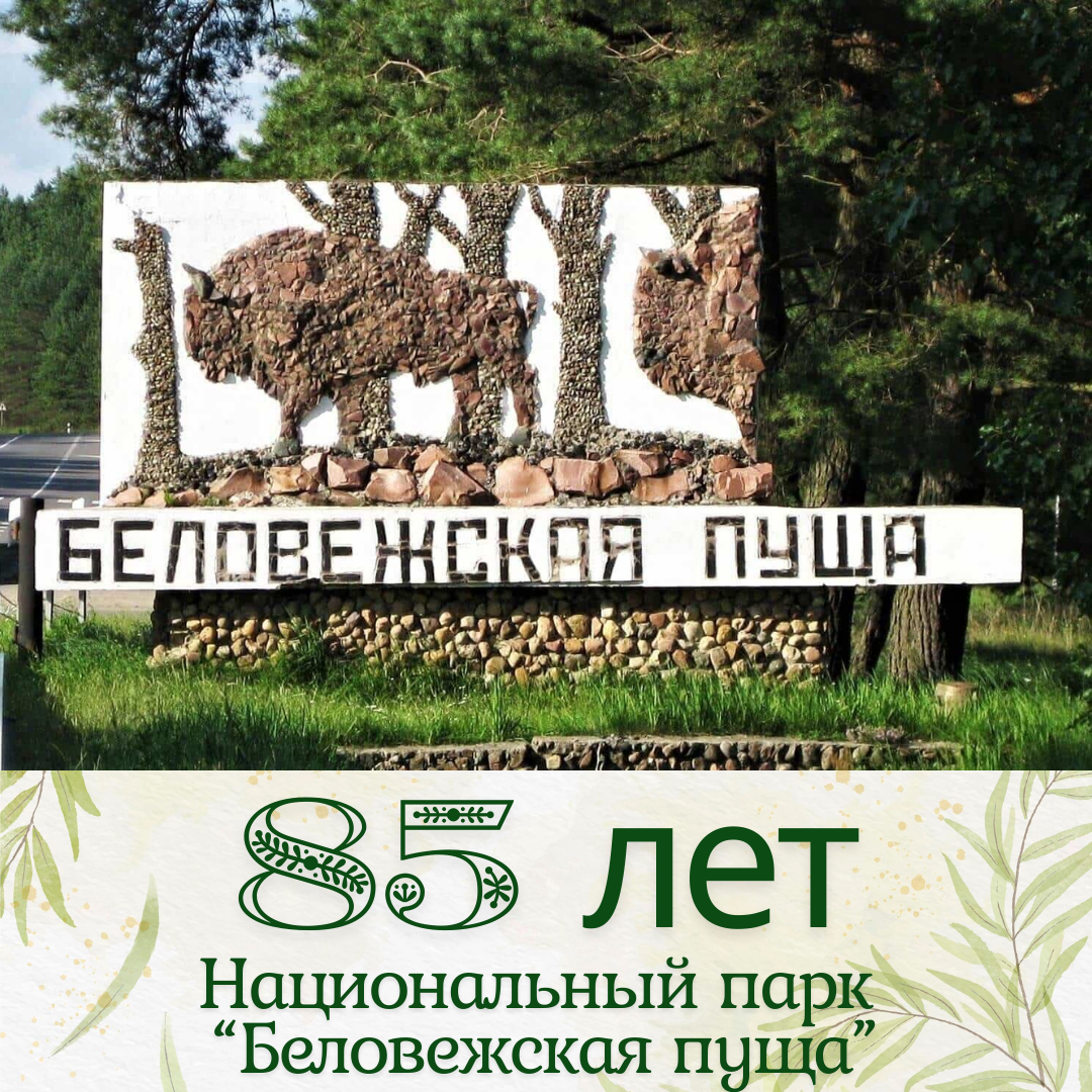 85 лет со дня основания Национального парка «Беловежская пуща»