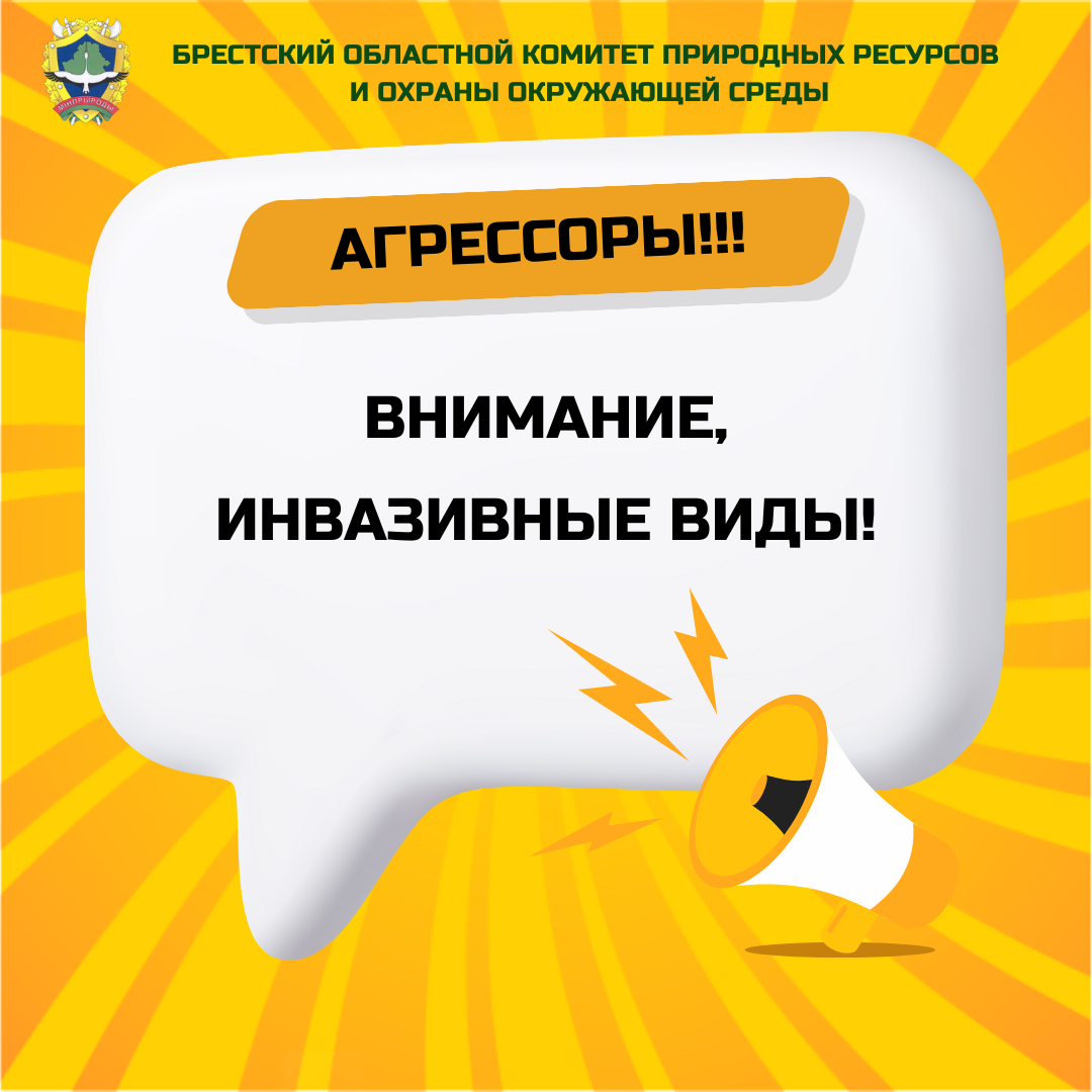 Внимание! Инвазивные виды!