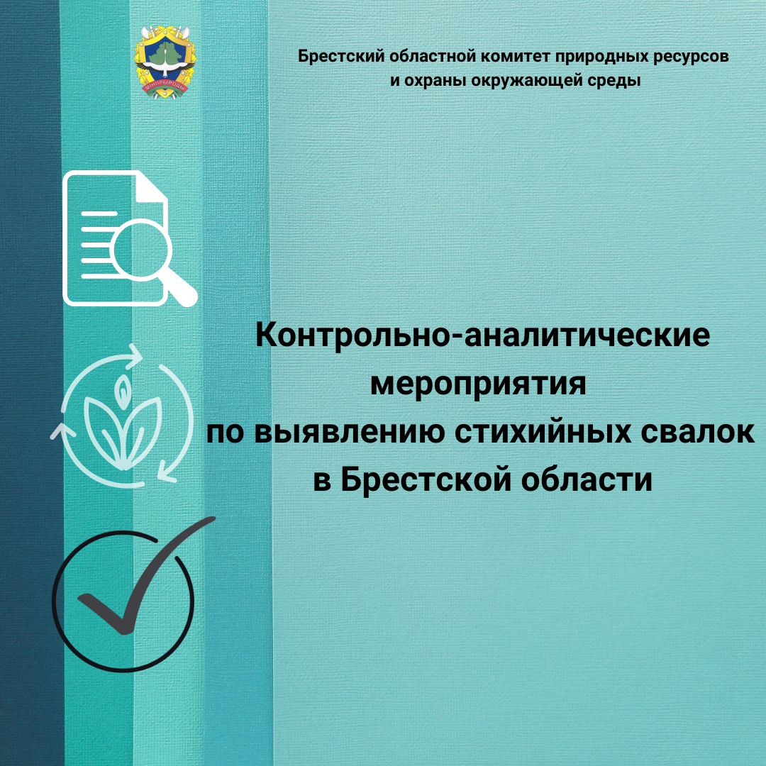 Контрольно-аналитические мероприятия по выявлению стихийных свалок в Брестской области