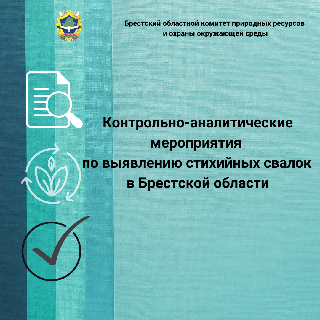 Контрольно-аналитические мероприятия  по выявлению стихийных свалок в Брестской области