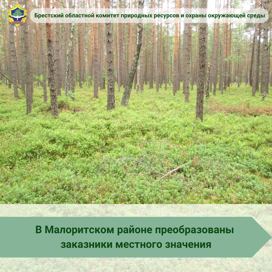 В Малоритском районе преобразованы заказники местного значения