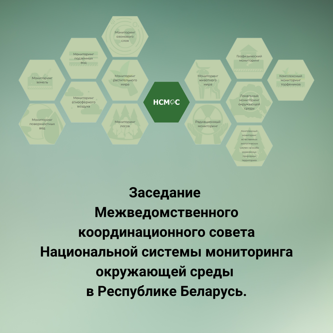 Заседание Межведомственного координационного совета Национальной системы мониторинга окружающей среды в Республике Беларусь