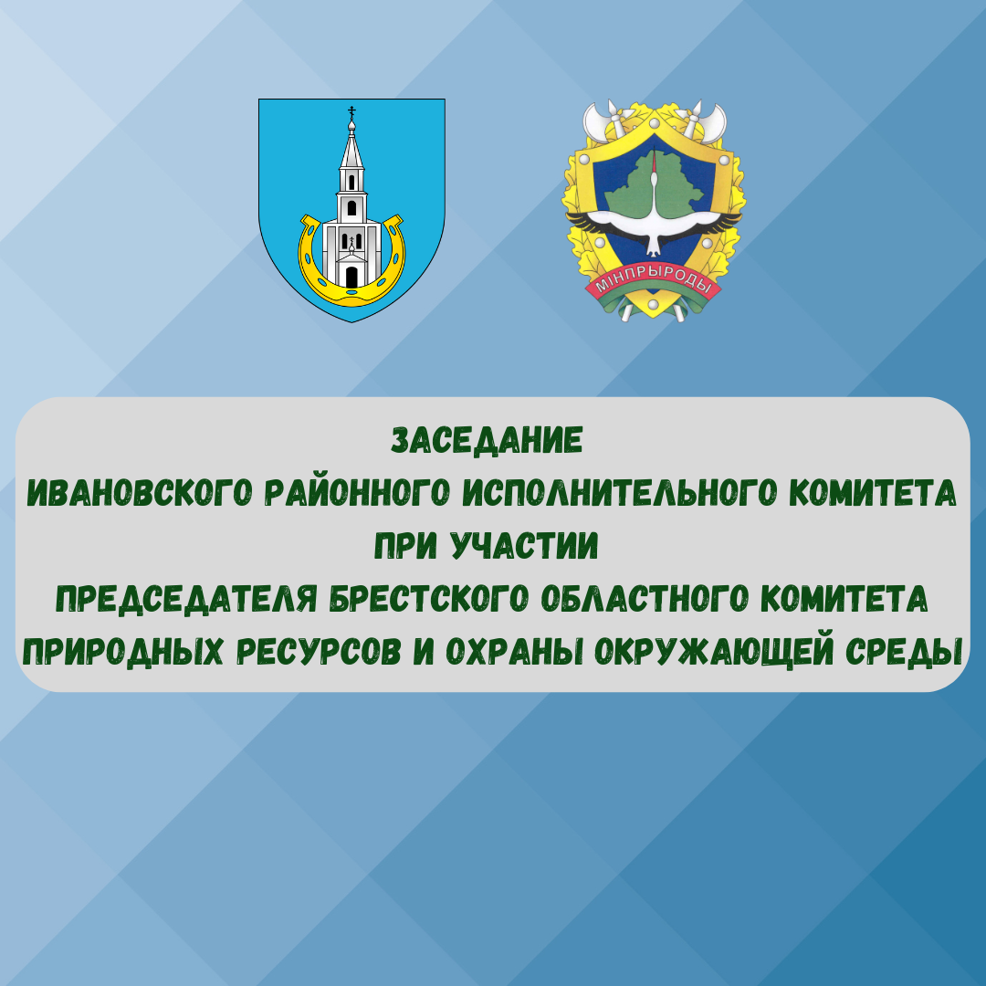 О выполнении мероприятий по наведению порядка на земле, проводимых на территории Ивановского района в 2024 году, и задачах на 2025 год