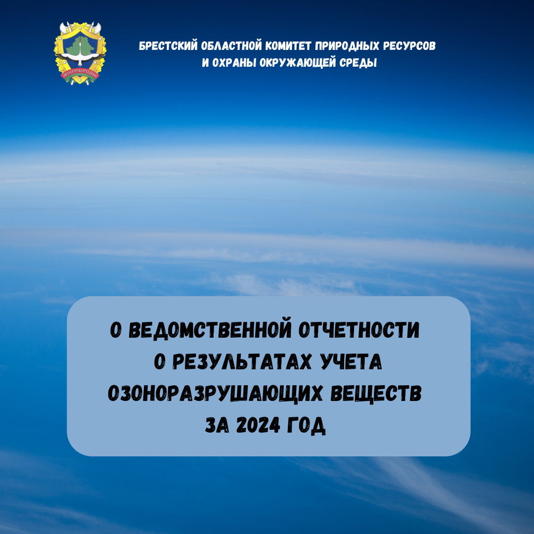 О ведомственной отчетности о результатах учета озоноразрушающих веществ за 2024 год