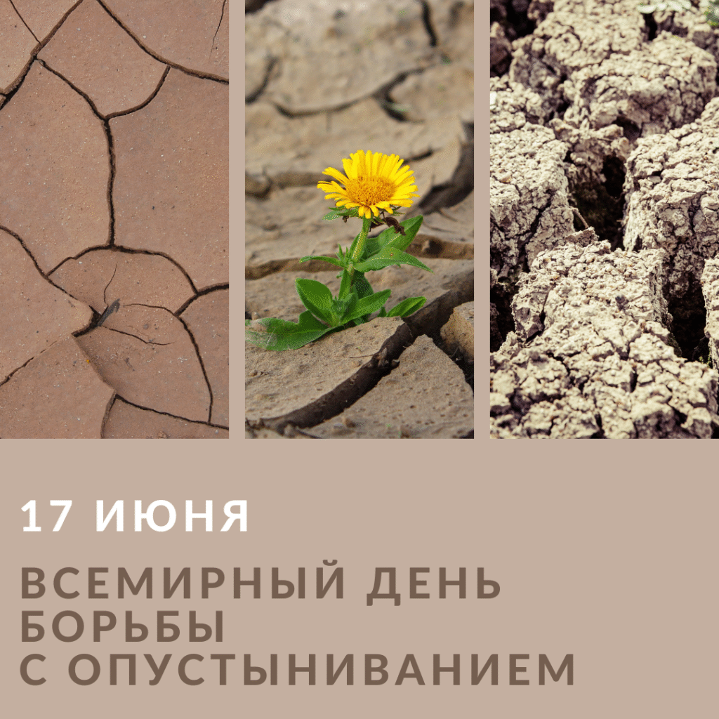 17 июня — Всемирный день борьбы с опустыниванием и засухой