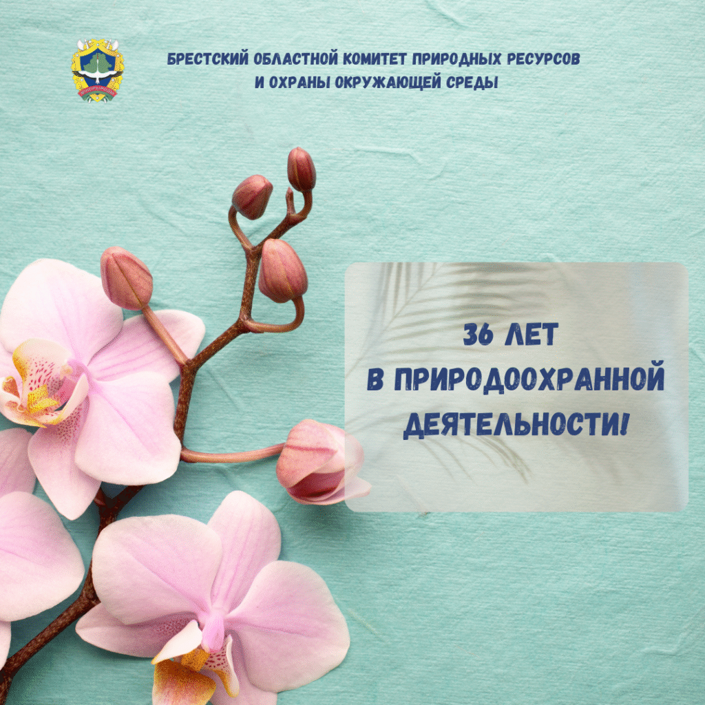 36 лет в природоохранной деятельности!