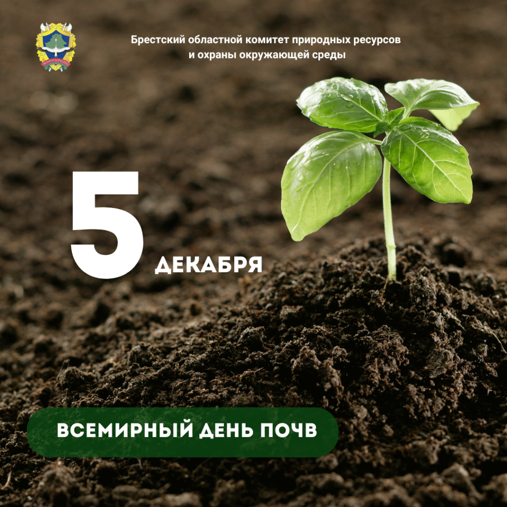 5 декабря отмечается Всемирный день почв