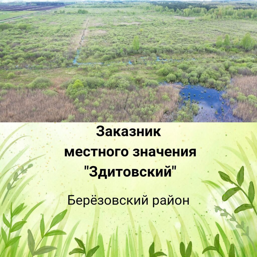 В Березовском районе объявлен заказник местного значения «Здитовский»