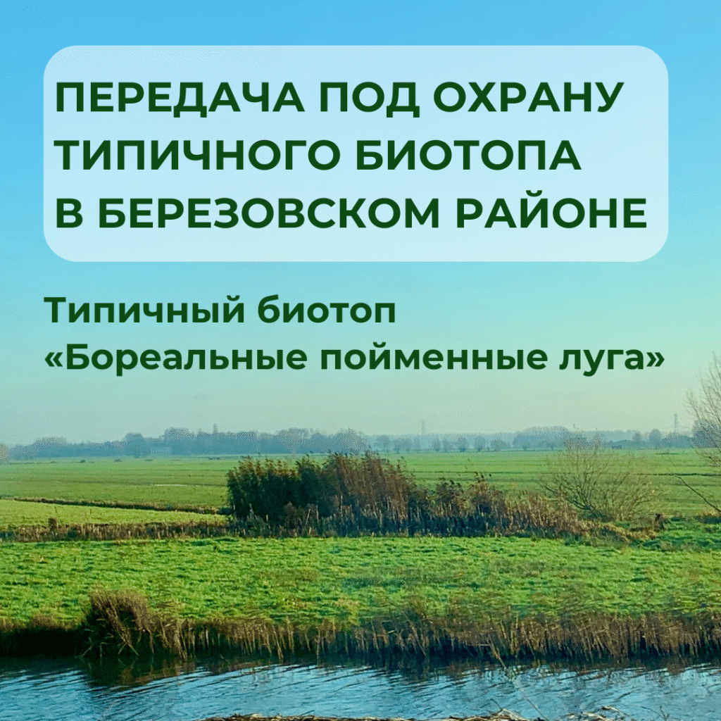 Передача под охрану типичного биотопа в Березовском районе