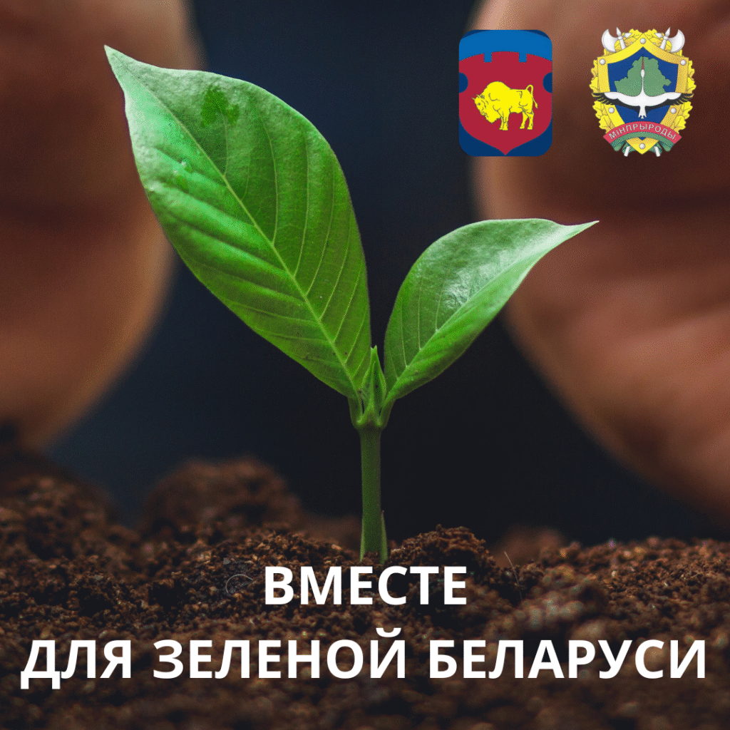 Брестский областной комитет высадит деревья в Парке Тысячелетия