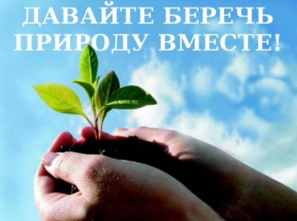 Контрольная деятельность за первое полугодие 2023 года
