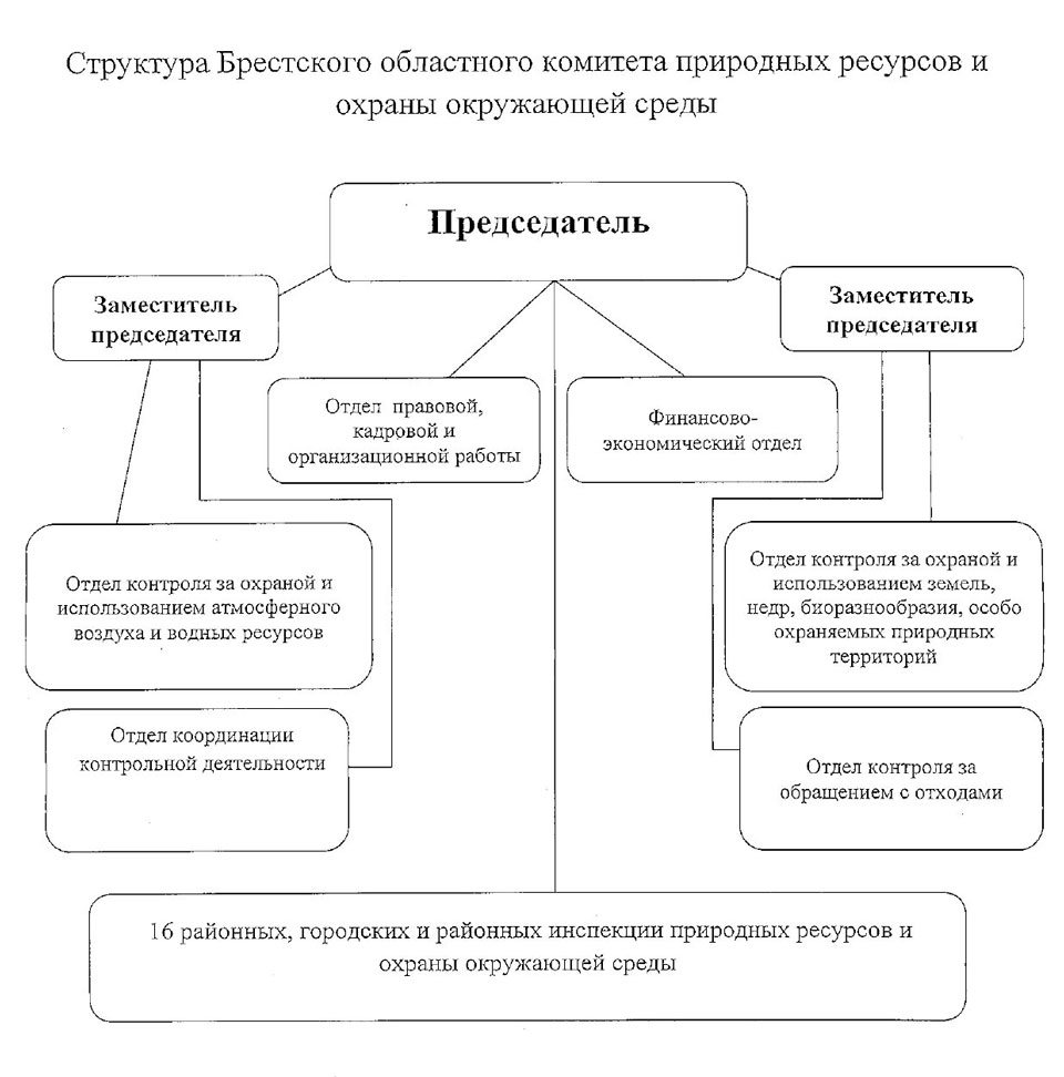 Месячник «Зеленый университет»