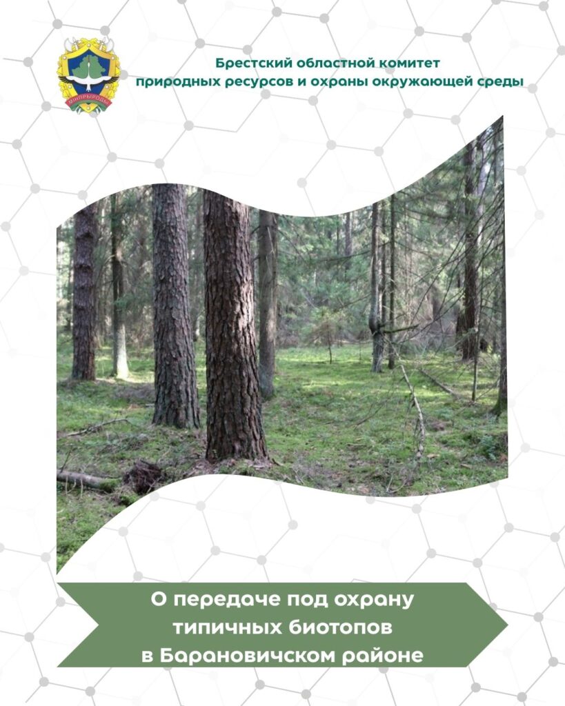 О передаче под охрану типичных биотопов в Барановичском районе