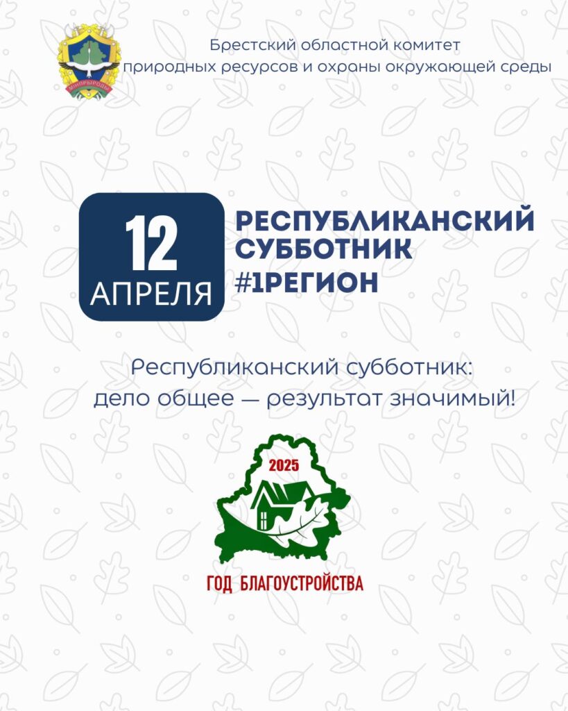 Республиканский субботник в Брестской области