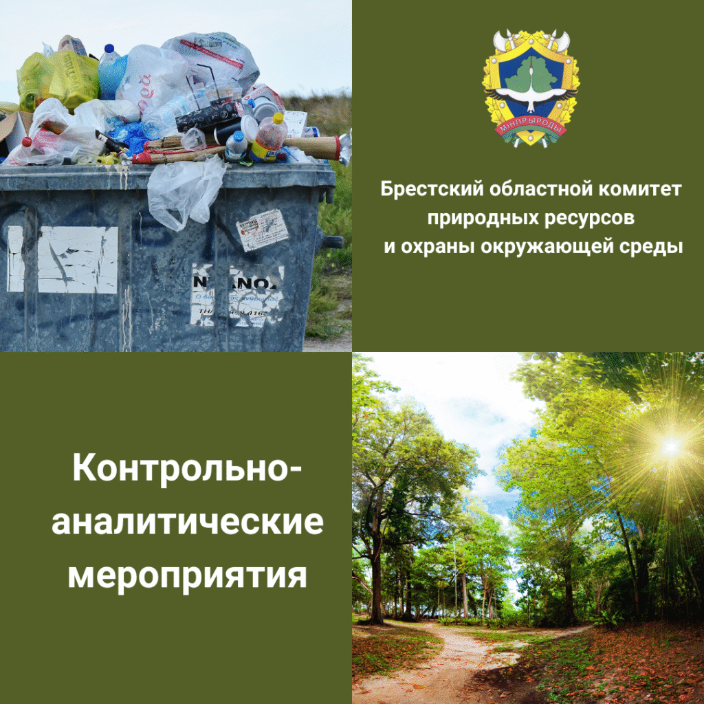Контрольно-аналитические мероприятия по выявлению стихийных свалок в Брестской области в 2024 году