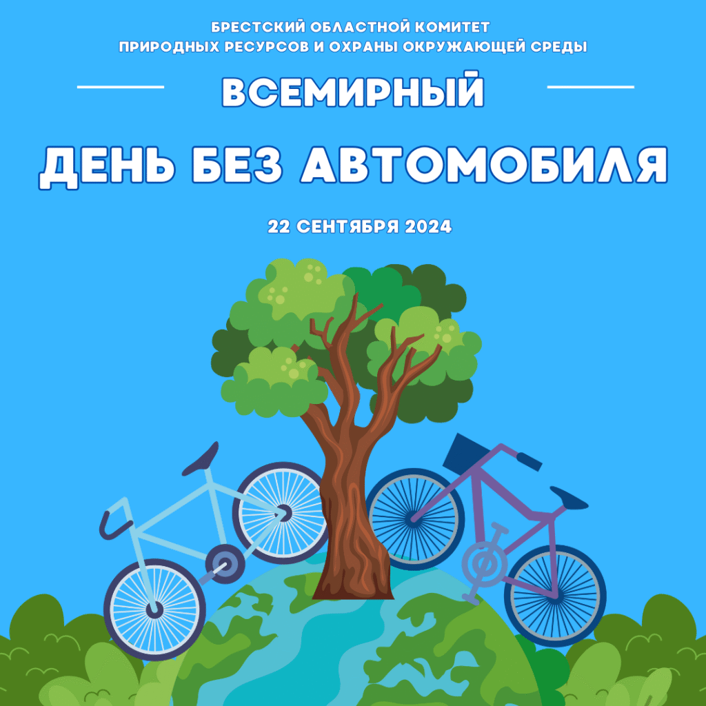 Запреты и ограничения на посещение лесов в Брестской области (01.10.2024, 15.00)