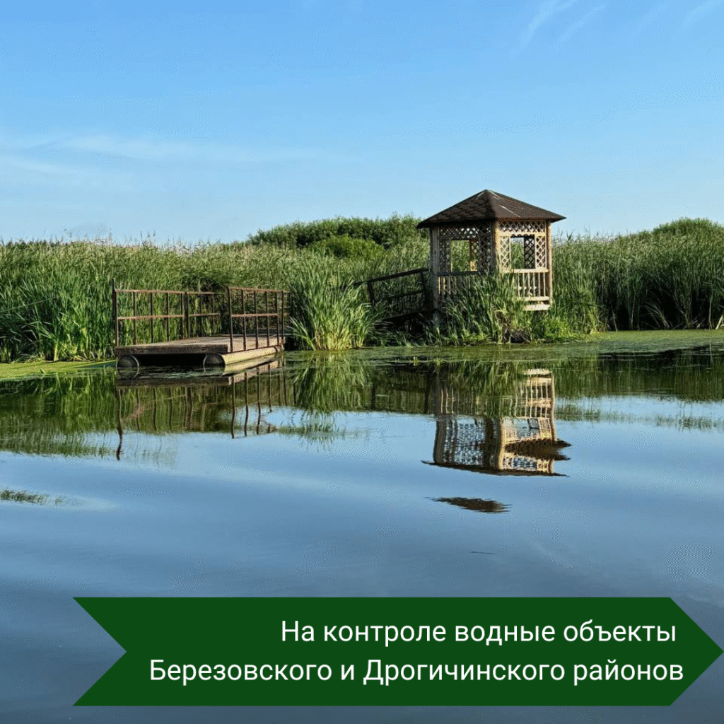 На контроле водные объекты Березовского и Дрогичинского районов