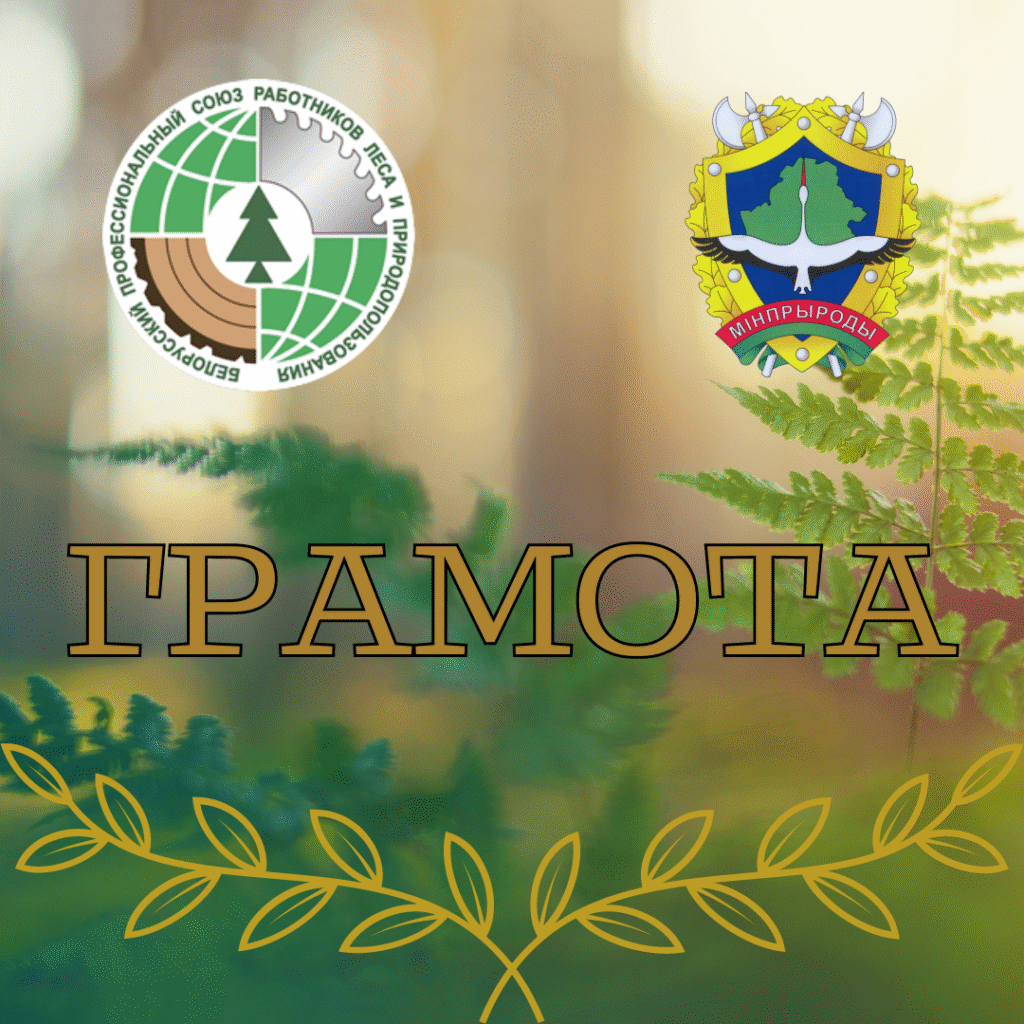 В Брестском областном комитете чествовали лучших работников!