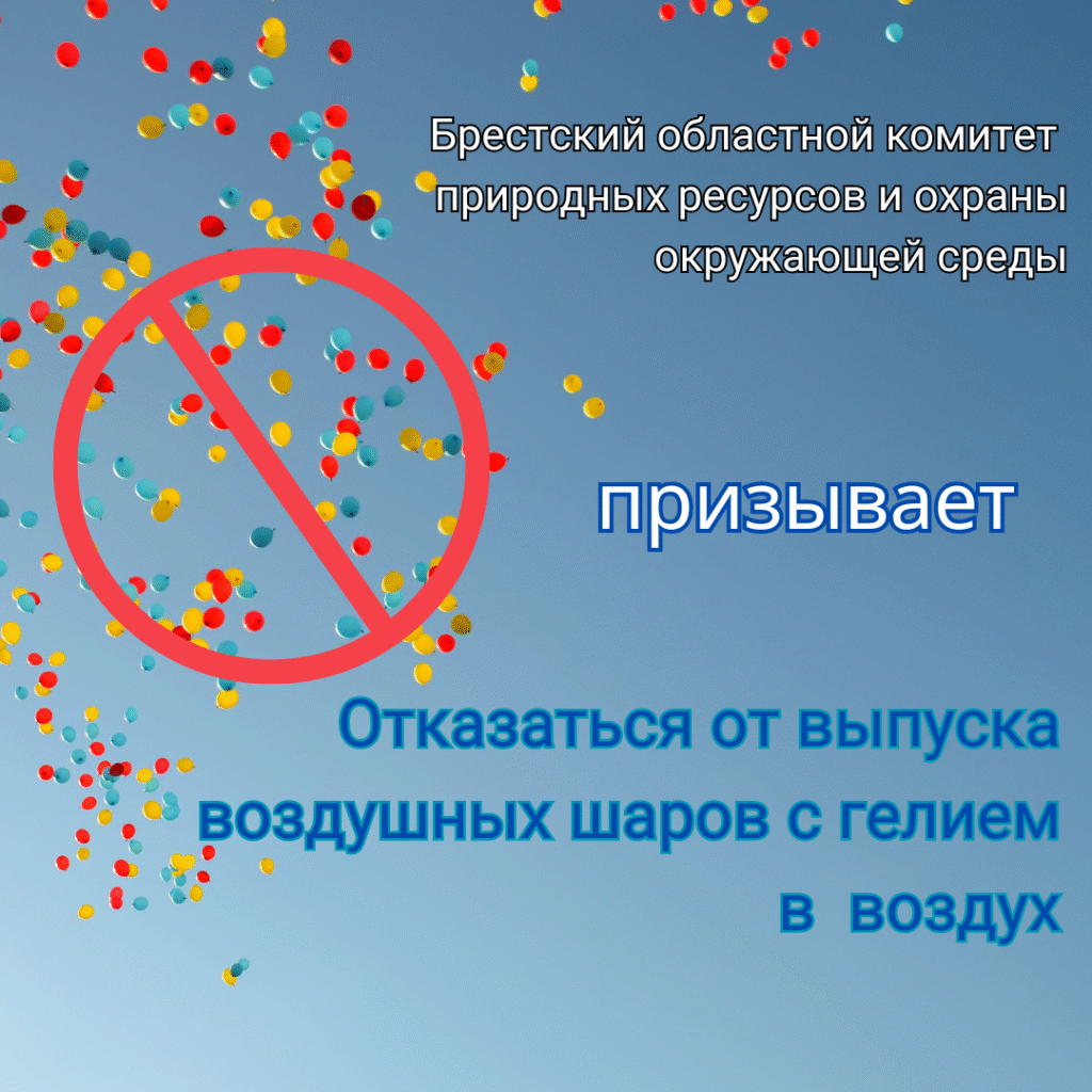 Скажи «НЕТ» воздушным гелиевым шарам!