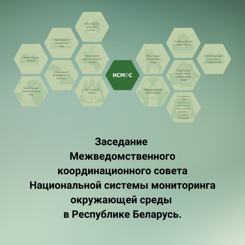 Заседание Межведомственного координационного совета Национальной системы мониторинга окружающей среды в Республике Беларусь