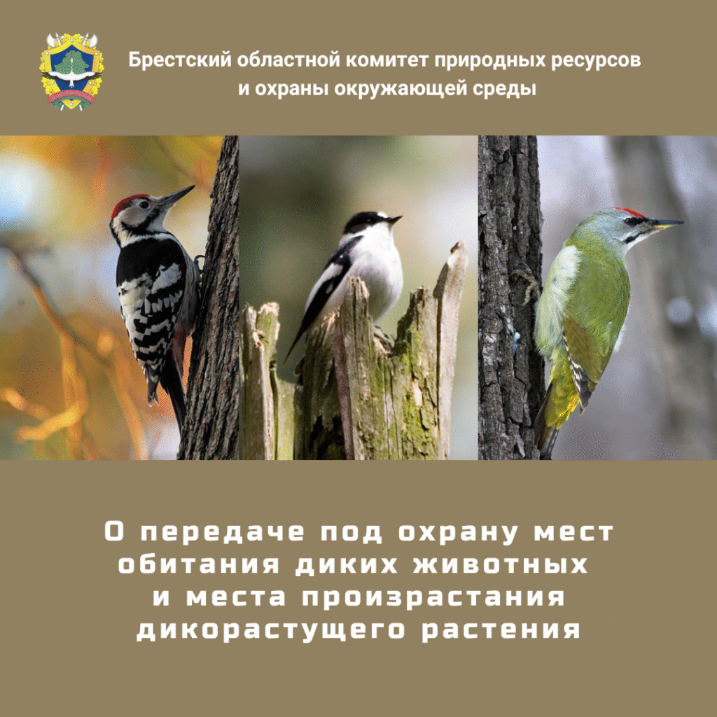 О передаче под охрану мест обитания диких животных и места произрастания дикорастущих растений