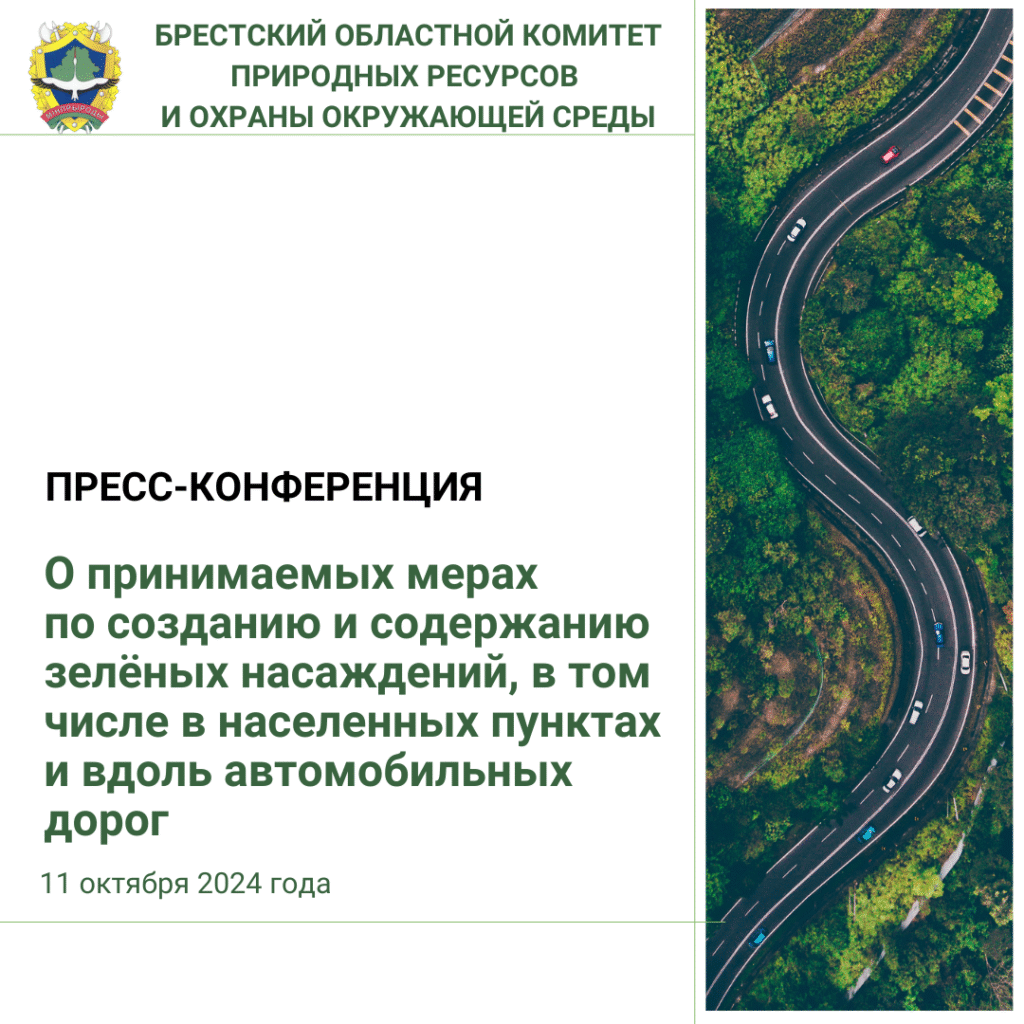 Пресс-конференция по созданию и содержанию зелёных насаждений