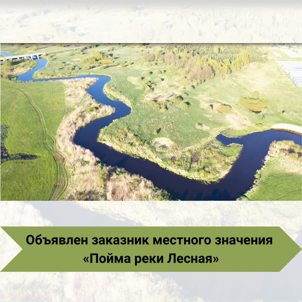 В Брестской области объявлен заказник местного значения «Пойма реки Лесная»