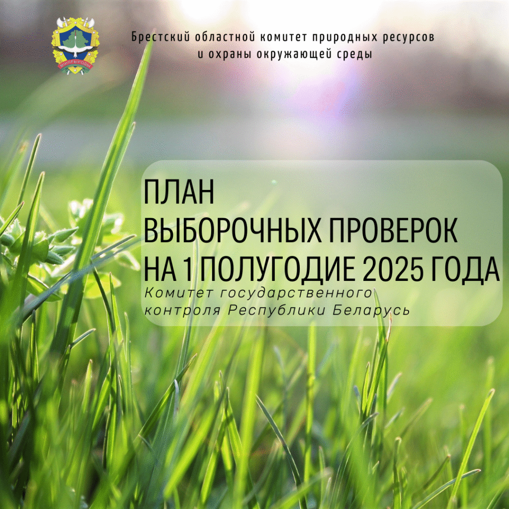 План выборочных проверок на 1 полугодие 2025 года