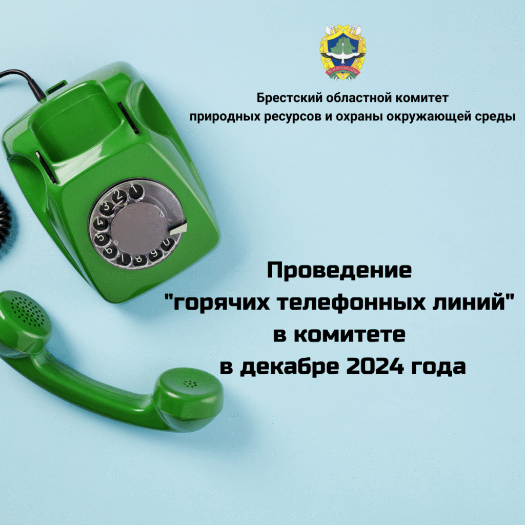 Проведение «горячих телефонных линий» в комитете в декабре 2024 года