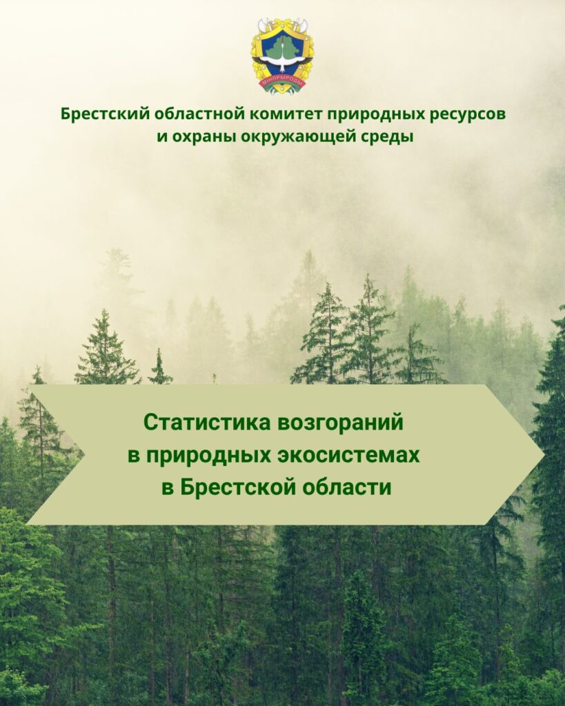 Контрольно-аналитические мероприятия по выявлению стихийных свалок в Брестской области