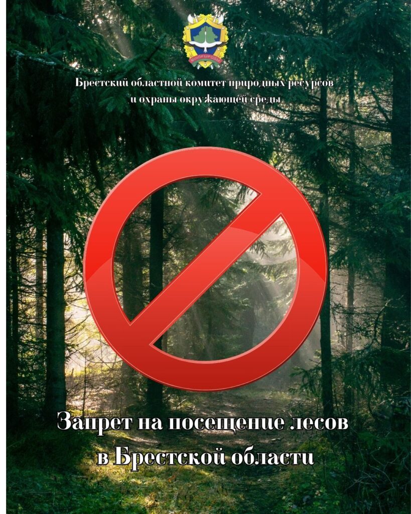 Беларусь и Узбекистан: направления сотрудничества