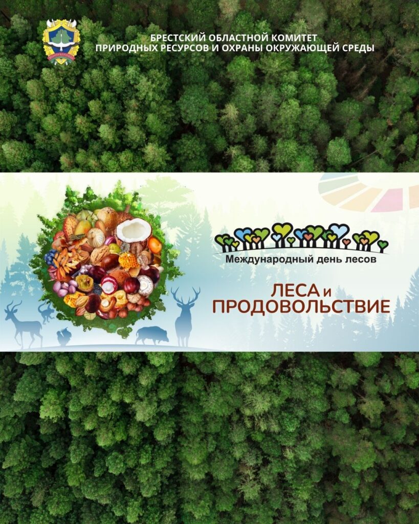 21 марта — Международный день лесов
