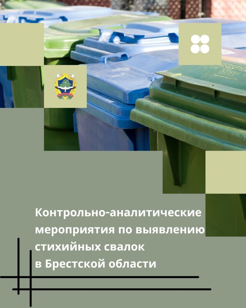 Контрольно-аналитические мероприятия по выявлению стихийных свалок в Брестской области