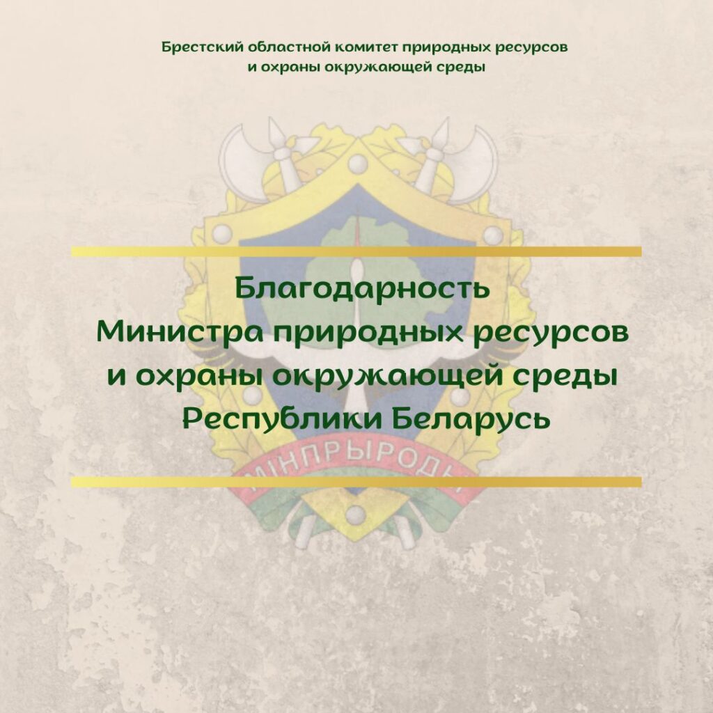 Благодарность Министра за высокие показатели в работе в 2024 году