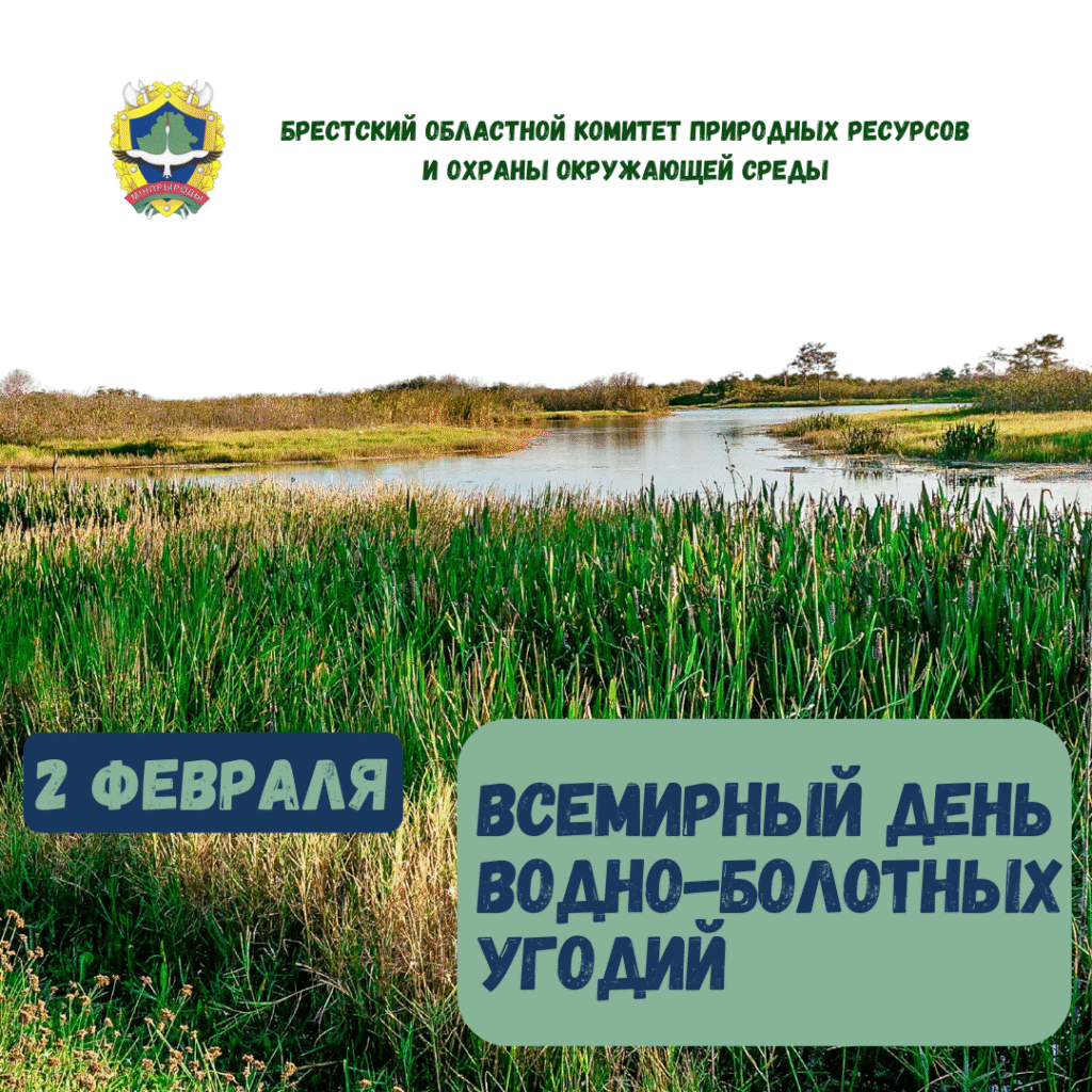 2 февраля — Всемирный день водно-болотных угодий