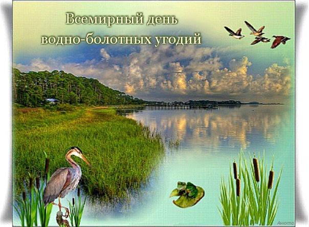 2 февраля – День водно-болотных угодий