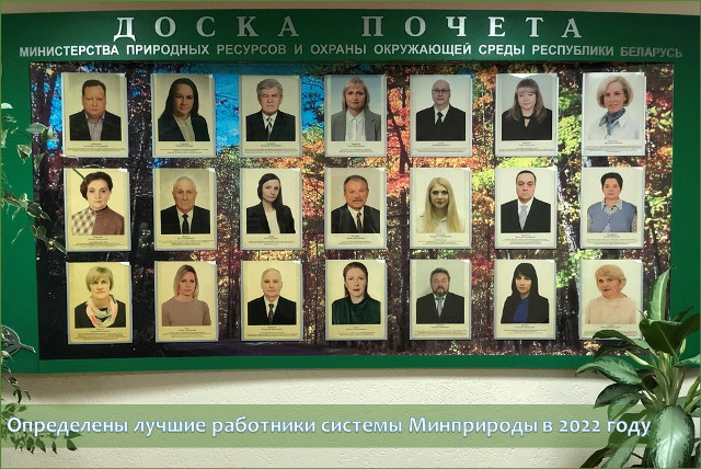 Определены лучшие работники системы Минприроды в 2022 году