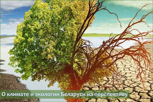 Потепление климата в Беларуси привело к изменению границ агроклиматических областей