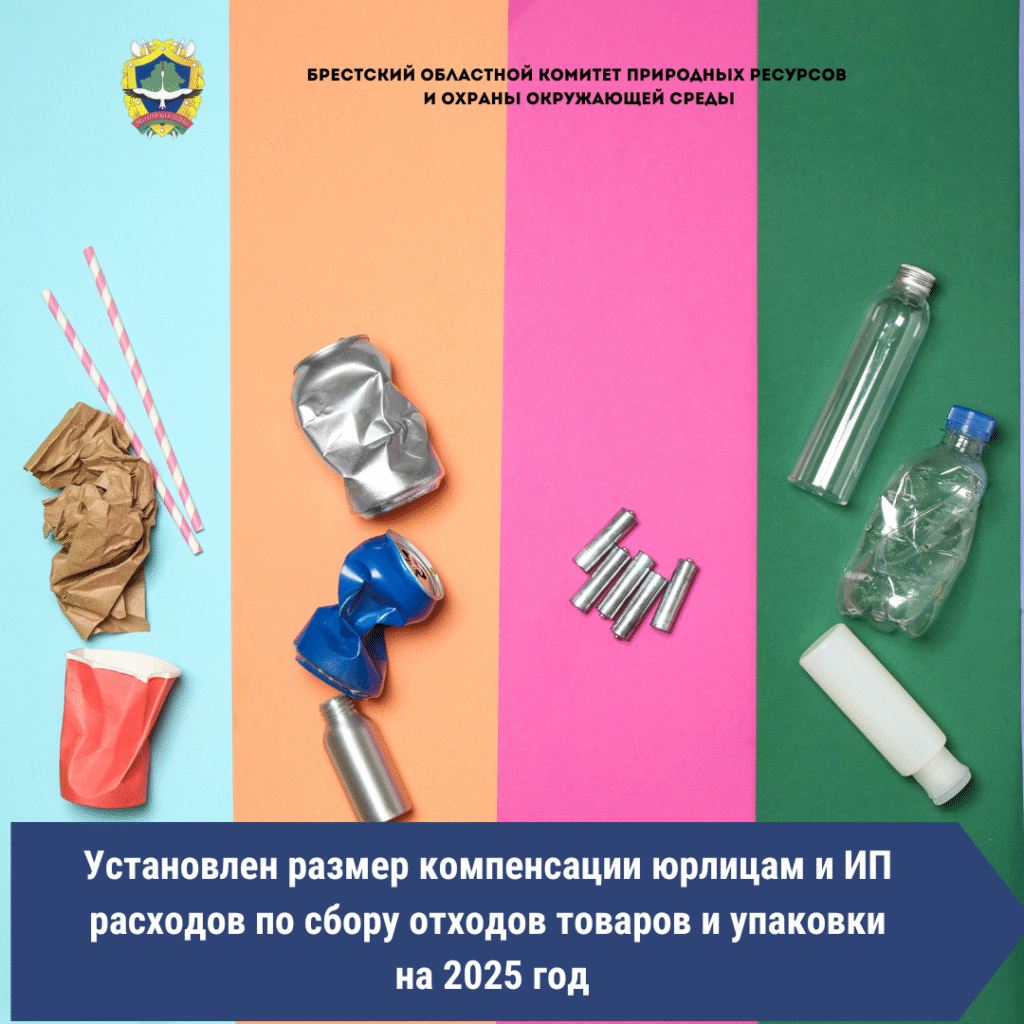 Правительством установлен размер компенсации юрлицам и ИП расходов по сбору отходов товаров и упаковки на 2025 год