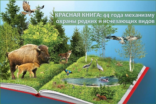 КРАСНАЯ КНИГА: 44 года механизму охраны редких и исчезающих видов